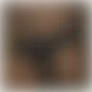 Dezyderiusz1