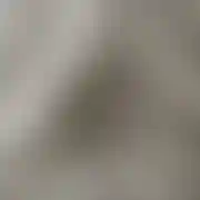 Dyskretny899