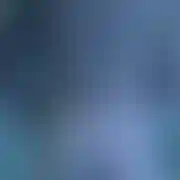 FreesBi