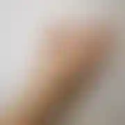 DuetMM