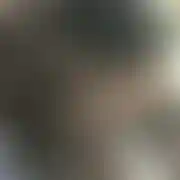 JustynaCD