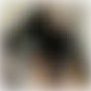 BitchBoi