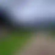 Antek776