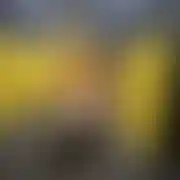 Roberrtt24