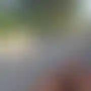 Sicmunfuscreqtusest87
