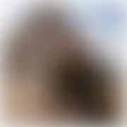 Sergio43