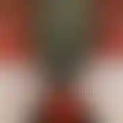 Gilfi - mann, 28 Jahre, Michalovce