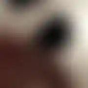 Bulif