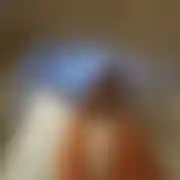 Sexyflexy - woman, 41 years, Wrocław