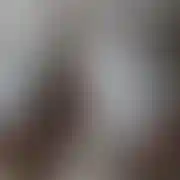 Fajnasprawa100
