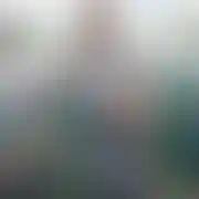 Lubis