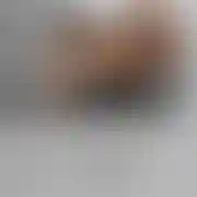 Ponownie100