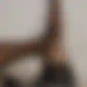Zpozoruspokojni - paar (frau 26 Jahre, mann 27 Jahre), Opole