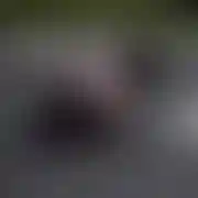 Bibiokxxx