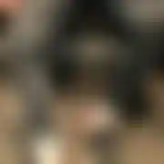 Mattii033