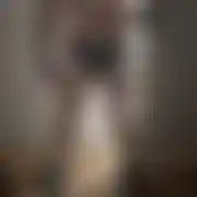 Nicemangda