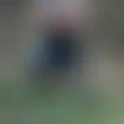 77