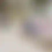Markkooo