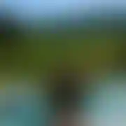 Uzz