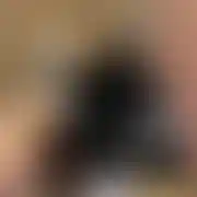 WroBear