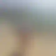 UhajUhaj