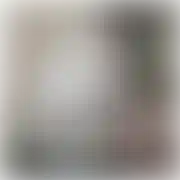 Hotmam80