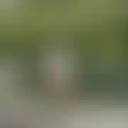 PalkaMa