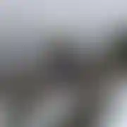 Normalny17cm