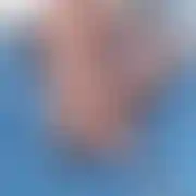 Piotrek13