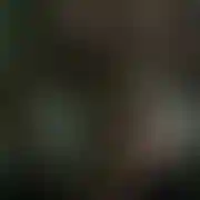 Wszystko1