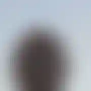 Erossik