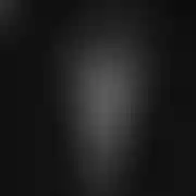 Buudii