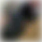 Wrrrr