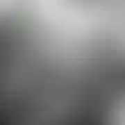 VarsovieXXX