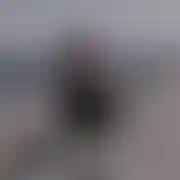 MaciejKato19