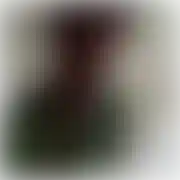 Dzisjutrozawsze