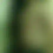 Chetniesiespotkam