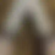 Natolii69 - trans, 27 lat, Kalety