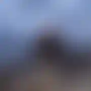 Wyuzdany81