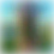 Dominujacy81