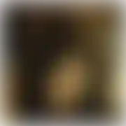 Kittykatka