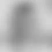 Luk81