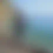 BrodatyMisiekLBN