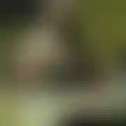 Danieelleee