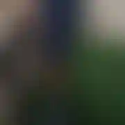 F22RAPTORS