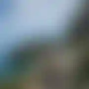 Qurczak