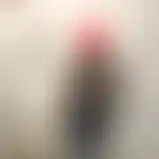 Cineks9