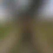 Maroo2022