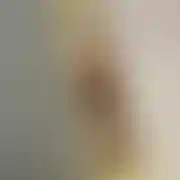 Pablosens