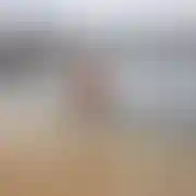 Dawidte